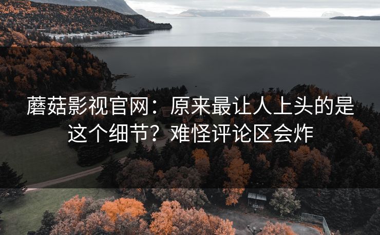 蘑菇影视官网:原来最让人上头的是这个细节?难怪评论区会炸 蘑菇影视官网:原来最让人上头的是这个细节?难怪评论区会炸