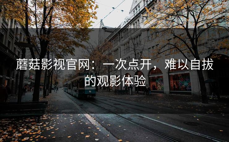 蘑菇影视官网：一次点开，难以自拔的观影体验